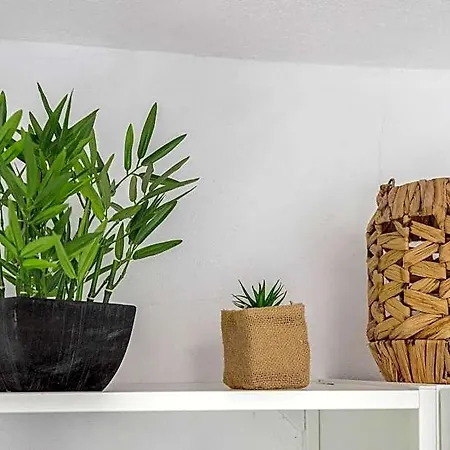 Apartament Casa Jardim Oasis *